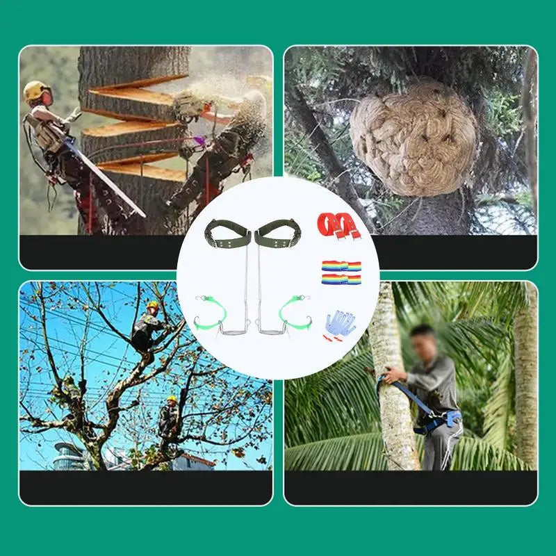 Pole Climbing Gear Kit Tree Climbing Gear Mountaineering Spike Survival Climbing Spike Outdoor Hunting Observation Fruit Picking